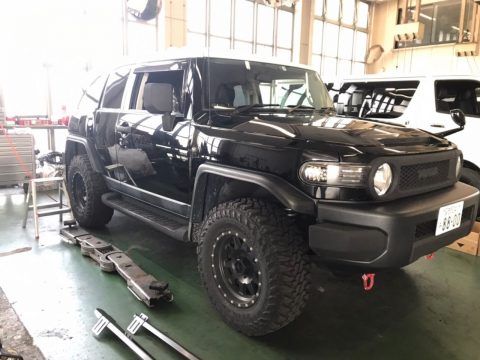 FJクルーザー　ARB　SUV　四駆　オフロード　キャンプ　ペンドルトン　LNE-X (3)